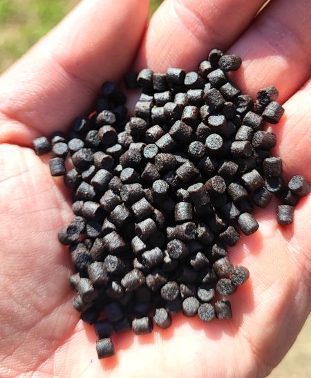 pellet